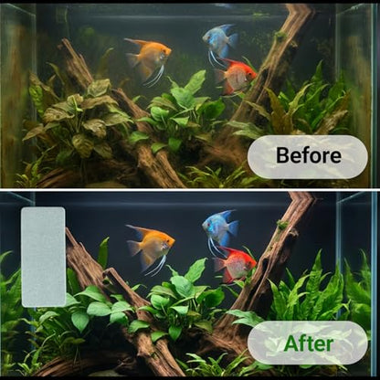 4-Pack Fish Tank Cleaning Tools - Double Sided Aquarium Sponge Brush - Glass Aquarium Scrubber Sponge - Surface Buildew Remover for Fish Tank - Non-Scratch EVA Pad