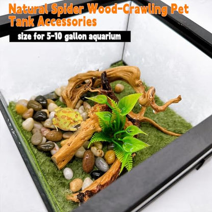 Hamiledyi 6-8in Aquarium Driftwood 3PCS Reptile Spider Wood Assorted Branches Natural Trunk Driftwood Tree Fish Tank Decoration - size: Spiderwood (6-8in 3PCS)