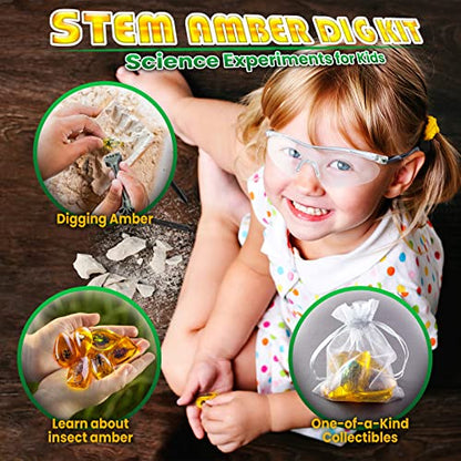 GobiDex Amber Dig Kit for Kids Ages 6+, Excavate 6 Insects Specimens | STEM Geographic Educational Bugs Toys, Excavation Toys for Fun Bugs Party Favors, Science Kits for Kids Age 6-8 8-12