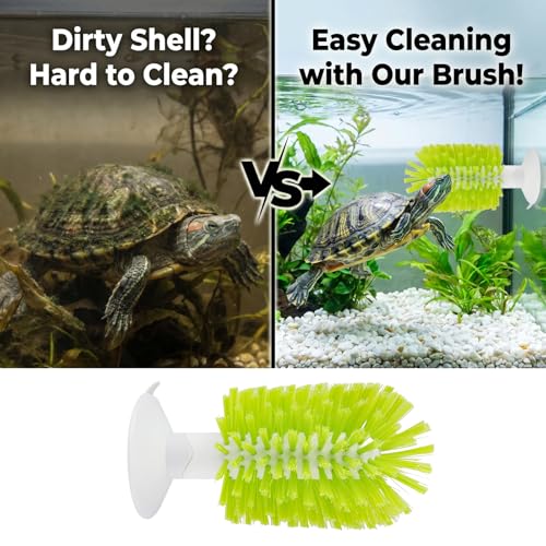 shuielai1PCS Turtle Brush with Suction Cup, Tank Scratch Scrub Back Shell Cleaner for Red Eared Slider, Exfoliate Remove Scutes, Green Turtle Aquarium Habitat Accessories