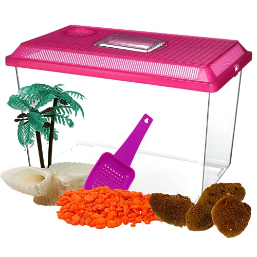 Needzo All in One Starter Kit Hermit Crab Habitat Supplies, DIY Terrarium Pack with1 Gallon Plastic Cage, Gravel, Scooper, Sponges, and Palm Tree Feeder for Crabs and Reptiles, 5 Pieces