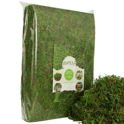 USMOLA Fake Moss for Potted Plants Indoor, 2LBS Large Capacity Artificial Green Moss for DIY Crafts, Faux Moss for Table Centerpieces Fairy Garden Terrariums Decor (32OZ)