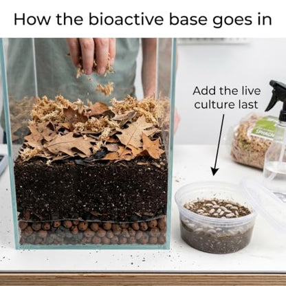 Day Gecko Bioactive Kit - 17qt Premium Bioactive Substrate + 2qt Leaf Litter + 2qt Sphagnum + Charcoal Iso-Flats Hide + 3oz Calcium + 25 Dwarf White Isopods + 8oz Tropical Springtails