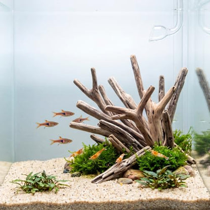 Novabright 20 Pcs Natural Driftwood Branches 5.9-8.6 Inch Long 0.8-1.2 Inch Diameter Beach Driftwood Aquarium Decor for DIY Crafts Coastal Home Decor Wedding Photo Props School Projects