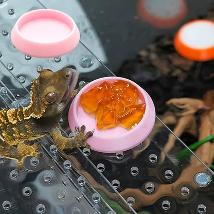 12 Pcs Hermit Crab Sponge Bowl Universal Plastic Gecko Food Dish Reptile Feeding Dish with 12 Pcs Sponges for Hermit Crab, Lizard, Small Pets(6 Colors)