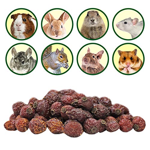 Exotic Nutrition Dried Rose HIPS (3 oz.) - Healthy Natural Treat - Chinchillas, Guinea Pigs, Rabbits, Prairie Dogs, Degus, Hamsters, Rats, Squirrels, Parrots, Chickens, Ducks & Other Small Pets - size: 3 Ounce (Pack of 1)