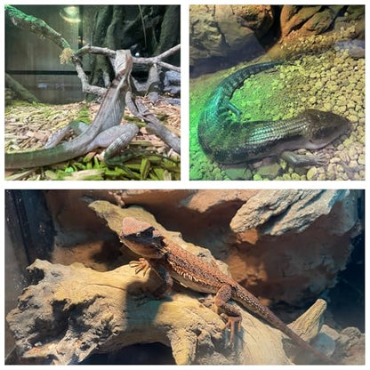 Bearded Dragon Tank 120 Gallon Reptile Terrarium 4x2x2 Ft, Aluminum Reptile Enclosure with 270° View, Mesh Top, Lockable Sliding Glass Doors