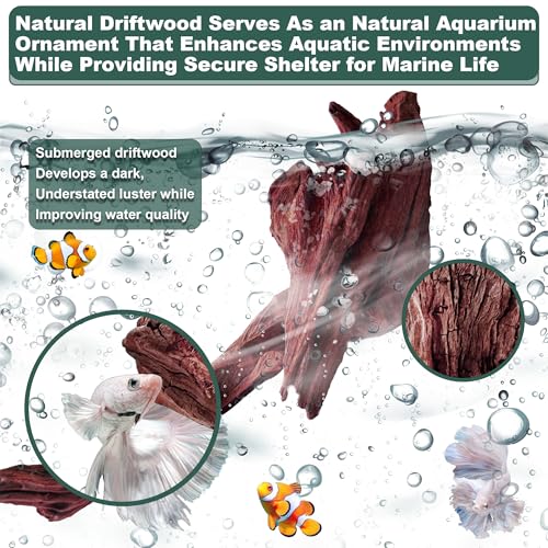 Natural Wood Driftwood for Aquarium Fish Tank Decor,Assorted Driftwood Trunk Branch for Reptile Tank Decor (MOP-ZYM Driftwood Branch (16 to19 Inch)-Pack of 2) - color: MOP-ZYM Driftwood Branch (16 to19 Inch)-Pack of 2
