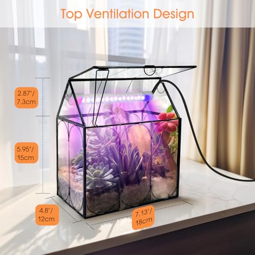 RIFNY Plant Terrarium with Grow Light, Glass Terrarium 7.1 x 4.8 x 8.8 Inch | Terrarium with LED Grow Light and Absorbent Mat for Venus Fly Trap Succulent Live Air Plants Indoor Home Office Decor - size: Black-Small with Plant Light