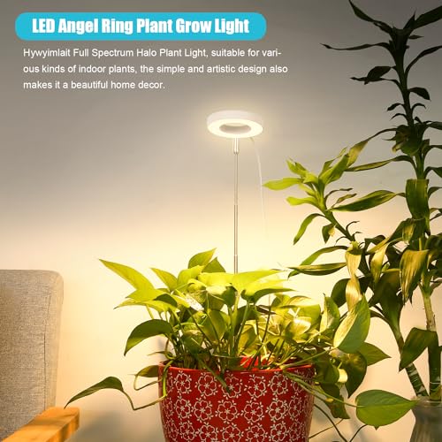 Halo Ring Grow Lights for Small Indoor Plants, Warm+White 48LEDs Full Spectrum Plant Light, Height Adjustable with 5V 2A Adapter, 3/9/12H Timer, 3 Spectral Modes, 10 Dimmable Levels, Angel Ring 1 Pack - color: White, size: 1 Pack Warm+White with Telescopi