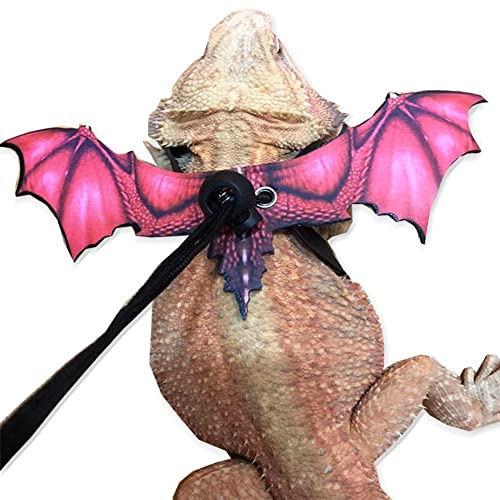 Bearded Dragon Leash, Adjustable Portable Reptile Leash with Cool Wings for Gecko, Bearded Dragon, Iguana, Hamster, Guinea Pig (S+M+L) - color: red