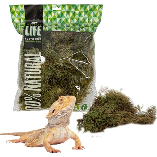 Deco Moss for Terrarium Habitats, Medium 1-Pack | Preserved Moss for Reptiles, Amphibians & Invertebrates Terrariums, Humidity Control, Soft, Dye-Free, Family Owned, USA Made - size: Medium 1-pack, style: Deco Moss