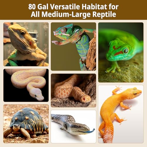 80 Gallon Bamboo Reptile Tank,48"x24"x18" Ball Python Enclosure for Bearded Dragon,Snake,Gecko,Lizard,Turtle with Sliding Door Top Screen Ventilation,Stackable Large Reptile Terrariums - size: 48"x24"x18"