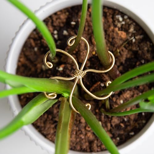 5Pcs Monstera Plant Stem Support Hook-2.75x2.75in Plant Stem Holder | Durable Metal Stem Support for Monstera & Fishbone Cactus, Easy Installation, Ideal Gift for Plant Lovers & Home Decor - size: 2.75 x 2.75 inches