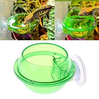 Suction Cup Feeder Anti-Escape Reptiles Water Bowl Worm Live Fodder Container for Iguanas