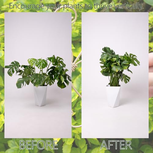 7.5In Monstera Plant Stem Support Hook Set-5PCS Metal stem Holder | Premium Stem Support for Monstera & Fishbone,Essential Growth Stabilizers for Leaf Support,Ideal Gift for Plant Lovers - size: 7.5 x 7.5 inches