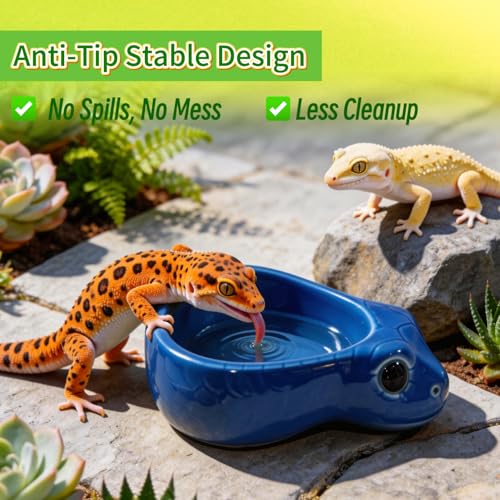 Ceramic Reptile Water Dish, Blue | Snake Water Bowl, For Snake, Leopard Gecko, Bearded Dragon and Lizard, Bathing Pool Food Feeding Dish - color: Blue