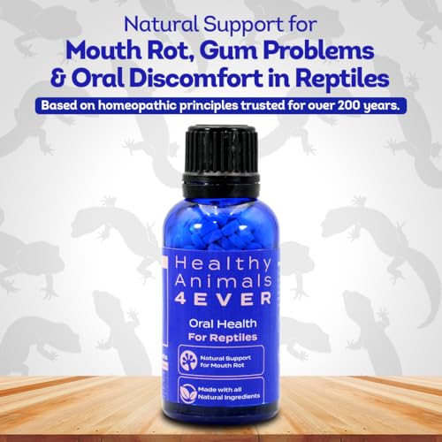 HealthyAnimals4Ever HA4E - Reptile Oral Health Support - Natural Mouth Rot Relief & Oral Hygiene Formula - Supports Gum Health, Comfort & Healing - 300 Tablets