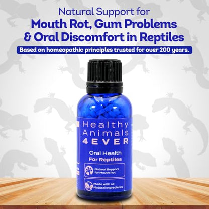 HealthyAnimals4Ever HA4E - Reptile Oral Health Support - Natural Mouth Rot Relief & Oral Hygiene Formula - Supports Gum Health, Comfort & Healing - 300 Tablets