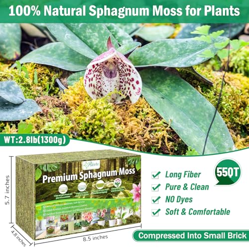 Riare 2.8LB Premium Sphagnum Moss for Plants- 55QT Natural Dried Plant Moss | Moisture Retention & Drainage Orchid Moss for Repotting, Succulents, Carnivorous, Ferns, Green Moss for DIY Craft, Reptiles - size: 55 QT(Appx.2.8lbs)
