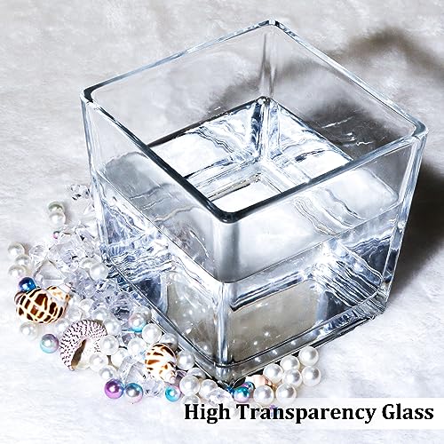 6 Pack Square Glass Vases 5" x5" x 5", Clear Flower Vases | Candle Holder for Centerpieces, Wedding Party Home Decor - size: 5inch