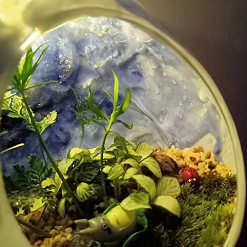 PATIKIL Round Globe Terrarium Air Plant Planter, 3.2 Inch High Borosilicate Glass Table Decorations for Succulent, Tillandsia, Clear - size: 3.2 Inch