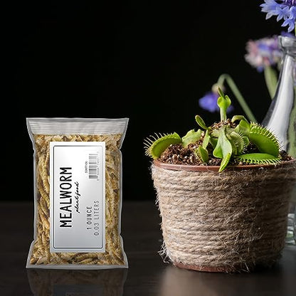 Soil Sunrise Carnivorous Plant Food Dried Mealworms (1oz), for Feeding Carnivorous Plants (Venus Fly Trap, Pitcher Plant, Sundews, Etc.)