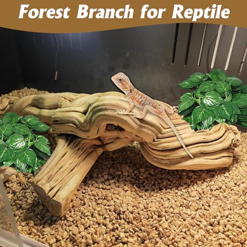 VCEPJH Large Snake Climbing Branch Decor 15.5 in Natural Reptile Wood Cork Log Bearded Dragon Tank Accessories Tree Trunk for Chameleon Gecko Ball Python Frog - size: Panlong Wood (XL:15"-17.7"-1pcs)
