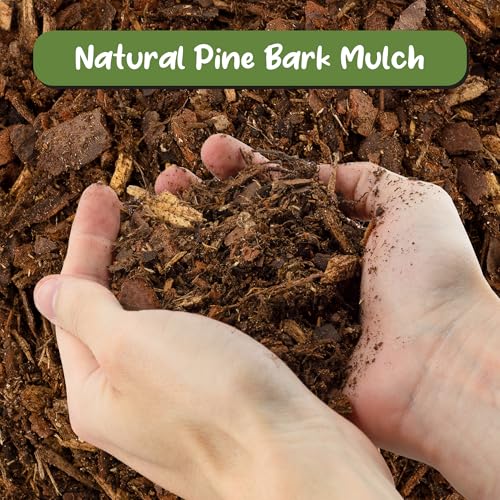 Soil Sunrise 100% Natural Pine Bark Mulch Nuggets (30 Quarts) Small Mulch Chips for Indoor/Outdoor Container Gardening, Ideal for Soil Supplement, Houseplant Mulch, and Terrariums - size: 30 Quarts