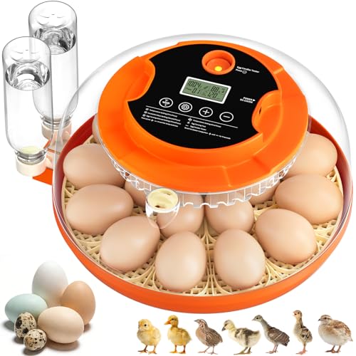 18 Egg Incubators for Hatching Eggs, Automatic Egg Turning and Humidity Control Incubator for Hatch Chicken Duck Quail Pigeon Pheasant Partridge Home Classroom Lab- - size: 18H