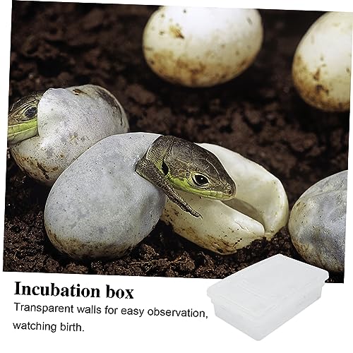 Totority 20grids Reptile Egg Incubation Box Practical Hatching Tray for Reptile Breeding Lightweight and Easy to Clean for Gecko Lizard Snake and Tortoise Eggs