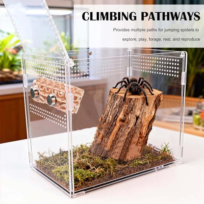 Jumping Spider Hide and Tunnel - 3D-Printed Small Reptile Enclosure Decoration, Magnetic Habitat Hideouts for Climbing and Shelter