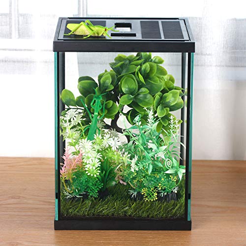 Vertical Glass Terrarium for Mantis, 7.8 x 7.8 x 10.8 in | 2.84 US Gal Glass Insect Habitat Kit for Tarantula Sling, Snail and Small Insects, Animals Not Included - size: L7.8 x W7.8 x H10.8 inches