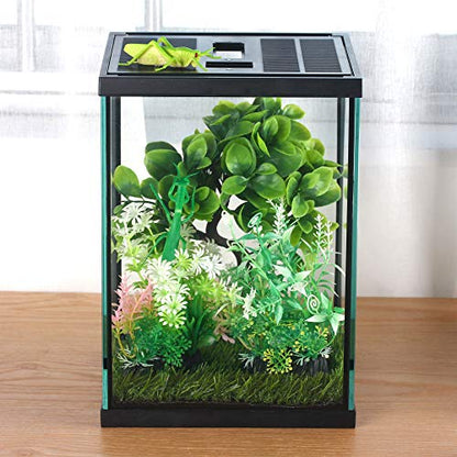 Vertical Glass Terrarium for Mantis, 7.8 x 7.8 x 10.8 in | 2.84 US Gal Glass Insect Habitat Kit for Tarantula Sling, Snail and Small Insects, Animals Not Included - size: L7.8 x W7.8 x H10.8 inches