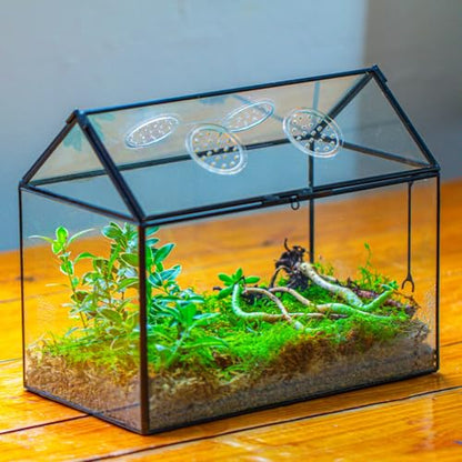 NCYP Glass Terrarium with Lid and Air Holes for Snails - 10.2" x 5.9" x 8.2" House Shape Geometric Clear Terrarium, Indoor Tabletop Decor Black (Plants Not Included)