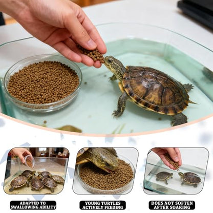 Baby Tortoise Food with Fish & Krill Meal, Spirulina & Astaxanthin | Enhanced with Calcium & Vitamins for Hatchlings & Young Sulcata, Leopard, Russian & Hermann's Tortoises (7 oz)