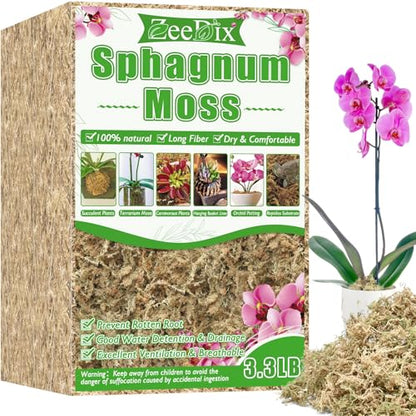 3.3 lb Premium Sphagnum Moss Bulk, Dried Long Fiber Orchid Sphagnum Peat Moss for Indoor Outdoor Plants, Carnivorous Plants, Succulent, Monstera & Reptiles Habitats (Expands to 60 qt) - size: 3.3 pounds