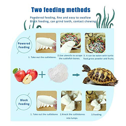 2PCS Natural Cuttlebone for Tortoise Turtles Snails Birds Cockatiels Parakeets Budgies Reptiles Small Animals(4"-4.5",Small)