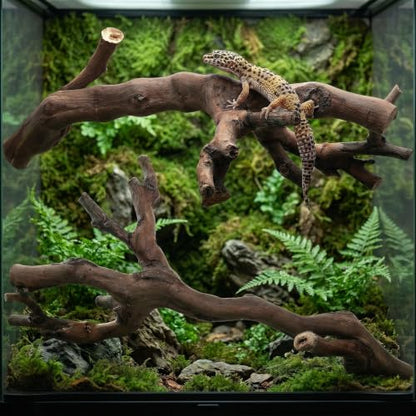 GALPADA 2pcs Reptile Climbing Branches Natural Wood Cork Logs with Smooth Safety Surface and Sturdy Support for Snake and Bearded Dragon Terrarium Decor Enclosures
