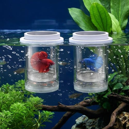 2 Pieces Breeder Box for Fish Tank, Floating Plastic | Aquarium Isolation Box, Mesh Fish Nursery Separator Tank Hatchery Incubator for Shrimp, Betta, Clownfish, Guppy, 2-Piece Set