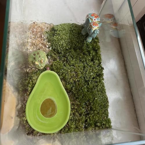 JSLZF Tree Frog Habitat Frog Water Bowl Dish Bathtub Tank Accessories Terrarium Decor Ceramic Aquarium Decoration Sturdy and Not Easy to Knock Over (2 PCS)