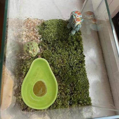 JSLZF Tree Frog Habitat Frog Water Bowl Dish Bathtub Tank Accessories Terrarium Decor Ceramic Aquarium Decoration Sturdy and Not Easy to Knock Over (2 PCS)