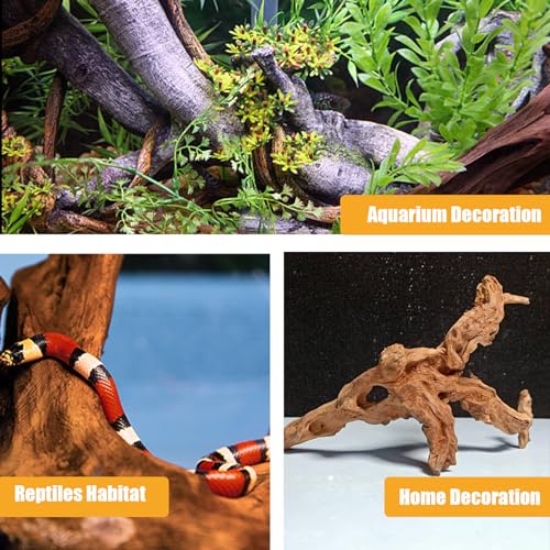 Aquarium Driftwood Natural Trunk Driftwood Assorted Branches 3.9-5.9" Assorted Trunk Terrarium Ornament(5 Pcs)