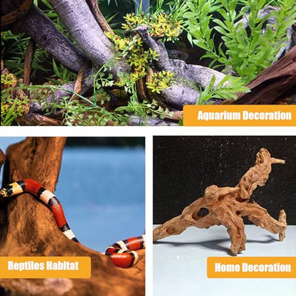Aquarium Driftwood Natural Trunk Driftwood Assorted Branches 3.9-5.9" Assorted Trunk Terrarium Ornament(5 Pcs)