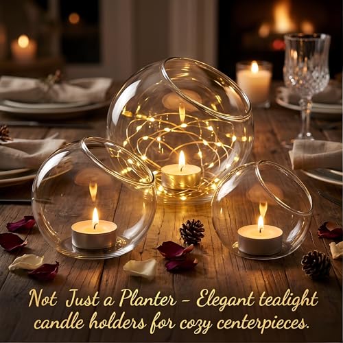 3 Pack Glass Terrarium Containers, Slanted Bowl Air Plant Holder Set | Small Clear Round Succulent Planter Globe for Micro Landscape, Candle Decor