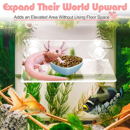 Axolotl Hammock Ledge with Feeding Dish, Aquarium Hideout for Axolotl Tank | Axolotls Tank Accessories,Bearded Dragon Tank Accessories