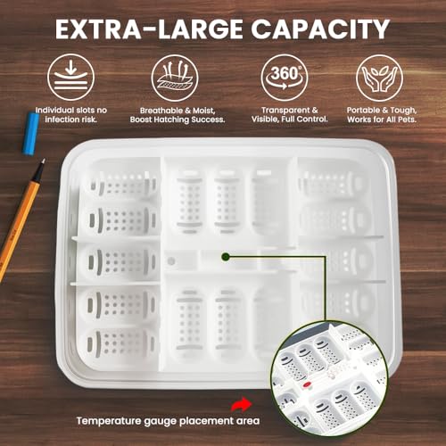 16 Grids Reptile Egg Incubation Box, Plastic Independent Grid Egg Tray, Hatching Container for Turtle Lizard Gecko Snake Eggs