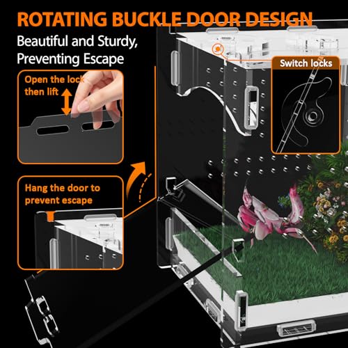 Acrylic Jumping Spider Enclosure, Insect Terrarium, Praying Mantis Habitat, Bug Enclosure, Arboreal Tarantula Enclosure Kit, Reptile Cage, Scorpion Lizard Tank