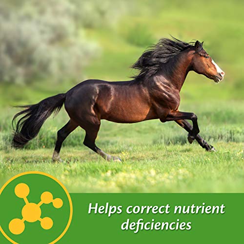 Farnam Vita-Min E & Selenium Antioxidant Supplement for Horses, 3 lb | 96 Day Supply,Horse Vitamin E Supplement, Muscle Health and Peak Condition