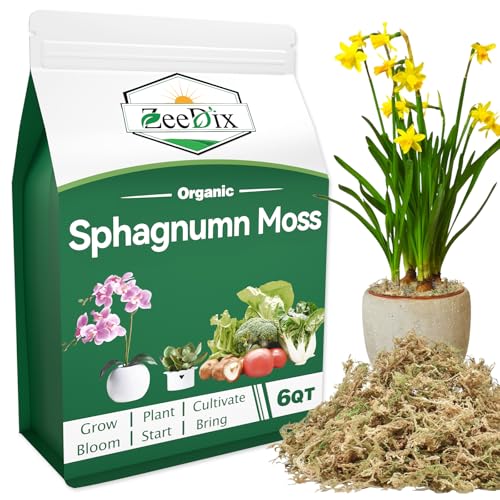 6QT Natural Sphagnum Moss for Plants, Orchid Moss Potting Mix for Repotting, High Water Retention, Help with Maintain Humidity, Plant Moss for Gardening, Hanging Baskets, Reptile Bedding - color: 6 Quart
